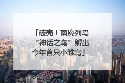 破壳！南麂列岛“神话之鸟”孵出今年首只小雏鸟