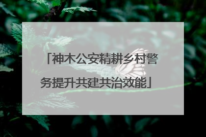 神木公安精耕乡村警务提升共建共治效能