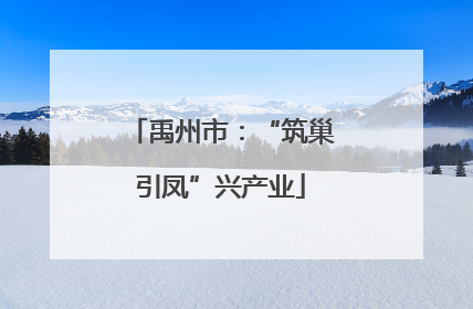 禹州市：“筑巢引凤”兴产业