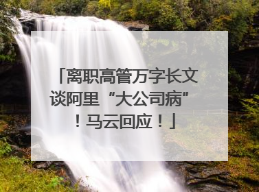 离职高管万字长文谈阿里“大公司病”！马云回应！