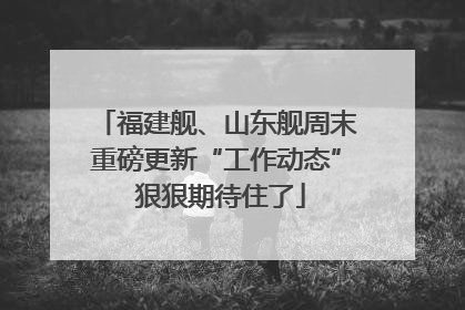福建舰、山东舰周末重磅更新“工作动态” 狠狠期待住了