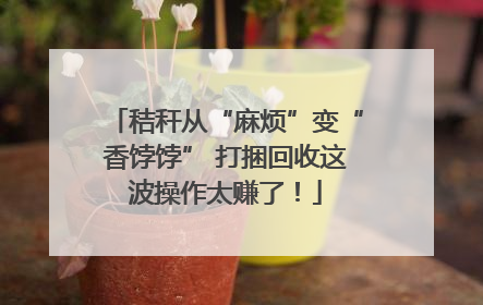 秸秆从“麻烦”变“香饽饽” 打捆回收这波操作太赚了！
