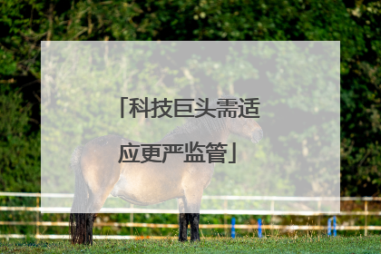 科技巨头需适应更严监管