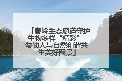 秦岭生态廊道守护生物多样“精彩” 勾勒人与自然和谐共生美好图景