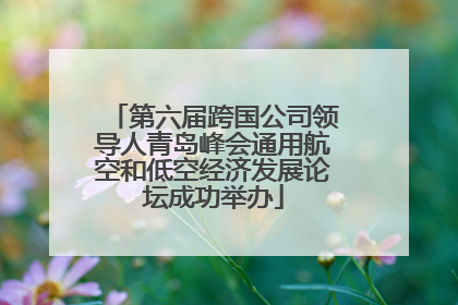 第六届跨国公司领导人青岛峰会通用航空和低空经济发展论坛成功举办
