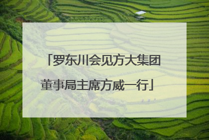 罗东川会见方大集团董事局主席方威一行