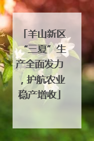 羊山新区“三夏”生产全面发力，护航农业稳产增收