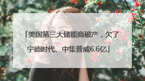 美国第三大储能商破产，欠了宁德时代、中集普威6.6亿