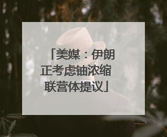 美媒：伊朗正考虑铀浓缩联营体提议
