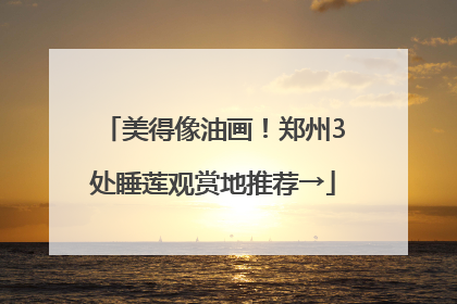 美得像油画！郑州3处睡莲观赏地推荐→