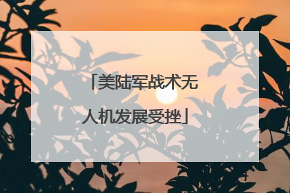美陆军战术无人机发展受挫