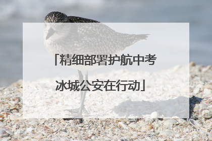 精细部署护航中考 冰城公安在行动