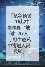 紧急预警：16起中毒事件“放倒”47人，野生蘑菇中毒进入高发期