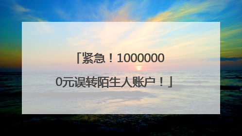紧急！10000000元误转陌生人账户！