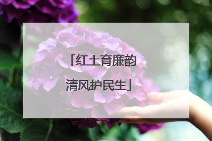 红土育廉韵 清风护民生
