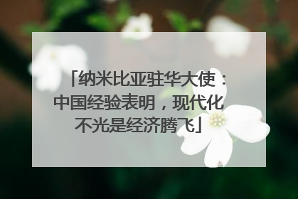 纳米比亚驻华大使：中国经验表明，现代化不光是经济腾飞