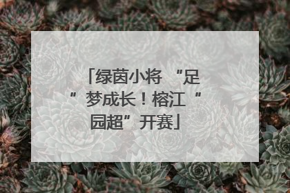 绿茵小将 “足”梦成长！榕江“园超”开赛