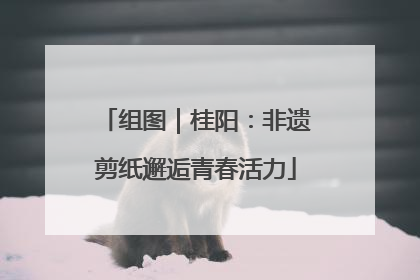 组图｜桂阳：非遗剪纸邂逅青春活力