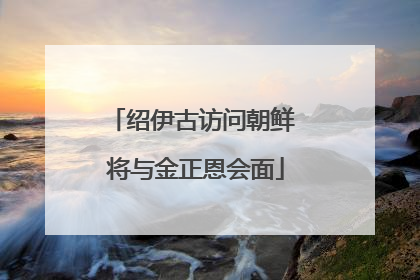 绍伊古访问朝鲜 将与金正恩会面