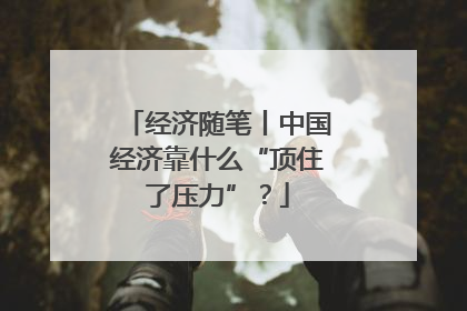 经济随笔丨中国经济靠什么“顶住了压力”？