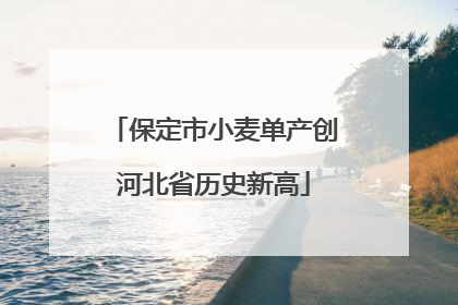 保定市小麦单产创河北省历史新高