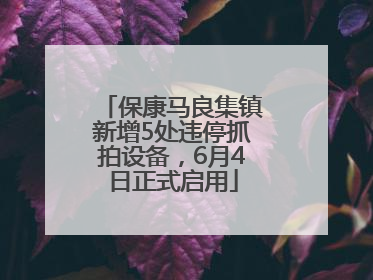 保康马良集镇新增5处违停抓拍设备，6月4日正式启用