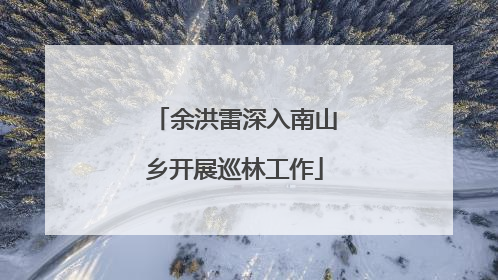 余洪雷深入南山乡开展巡林工作
