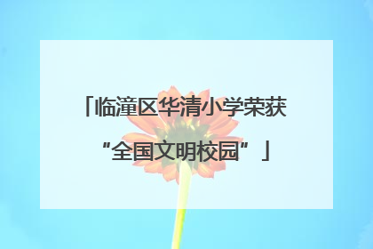临潼区华清小学荣获“全国文明校园”