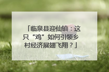 临泉县迎仙镇：这只“鸡”如何引领乡村经济展翅飞翔？