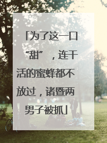 为了这一口“甜”，连干活的蜜蜂都不放过，诸暨两男子被抓