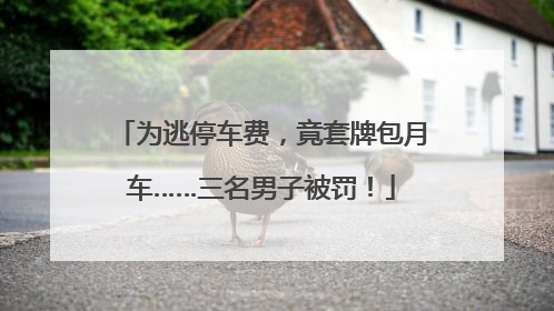 为逃停车费，竟套牌包月车……三名男子被罚！