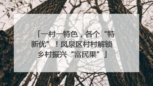 一村一特色，各个“特新优”！凤泉区村村解锁乡村振兴“富民果”