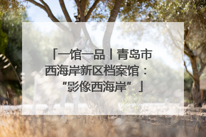 一馆一品丨青岛市西海岸新区档案馆：“影像西海岸”
