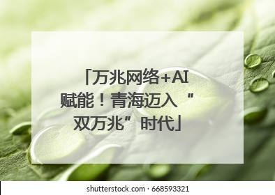 万兆网络+AI赋能！青海迈入“双万兆”时代