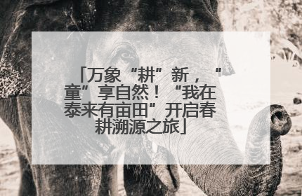 万象“耕”新，“童”享自然！“我在泰来有亩田”开启春耕溯源之旅