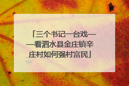 三个书记一台戏——看泗水县金庄镇辛庄村如何强村富民
