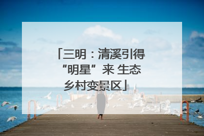 三明：清溪引得“明星”来 生态乡村变景区