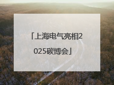 上海电气亮相2025碳博会