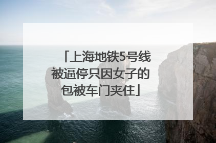 上海地铁5号线被逼停只因女子的包被车门夹住
