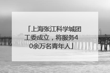 上海张江科学城团工委成立，将服务40余万名青年人