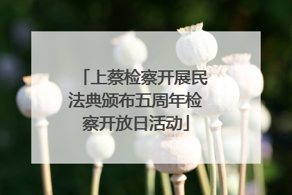 上蔡检察开展民法典颁布五周年检察开放日活动