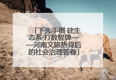 下先手棋·建生态系·打数智牌——河南文旅热背后的社会治理答卷
