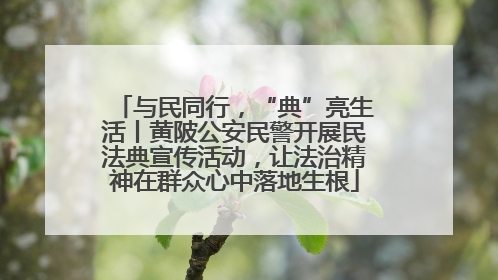 与民同行，“典”亮生活丨黄陂公安民警开展民法典宣传活动，让法治精神在群众心中落地生根