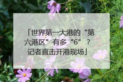 世界第一大港的“第六港区”有多“6”？记者直击开港现场