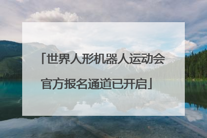 世界人形机器人运动会官方报名通道已开启