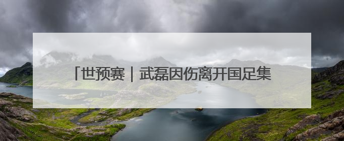 世预赛｜武磊因伤离开国足集训队，伊万不再补招顶替球员