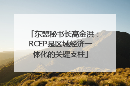 东盟秘书长高金洪：RCEP是区域经济一体化的关键支柱