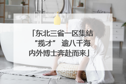 东北三省一区集结“揽才” 逾八千海内外博士奔赴而来
