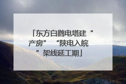东方白鹳电塔建“产房” “陕电入皖”架线延工期