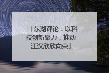 东湖评论：以科技创新聚力，推动江汉欣欣向荣